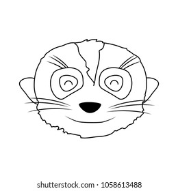 line nice meerkat head wild animal