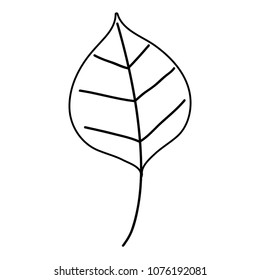 line nice nature leaf style of plant