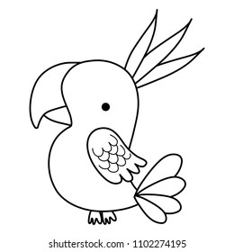 line nice parrot bird wild animal