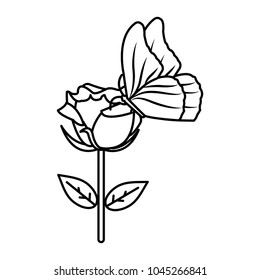 line nice rose with petals design and butterfly