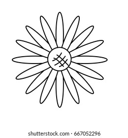 line nice sunflower with petals