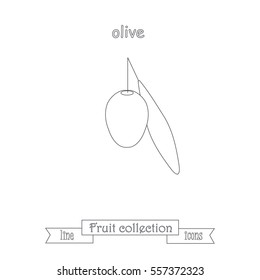 Line olive icon, fruit icon collection stock vector illustration