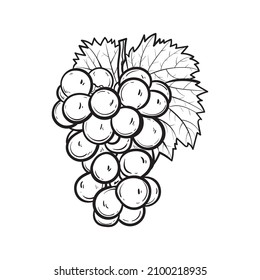 line out drawing grapes fruit, line art drawing grapes, hand drawn fruits grapes, vector illustration.