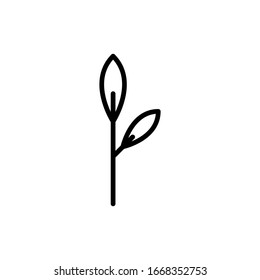 Line, outline leaf, leaf isolated on white background. Floral element, botanical icon EPS Vector