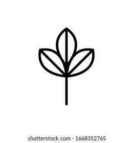 Línea, hoja de contorno, hoja aislada en fondo blanco. Elemento floral, icono botánico Vector EPS