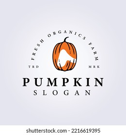 line oval pumpkin logo vector illustration template design