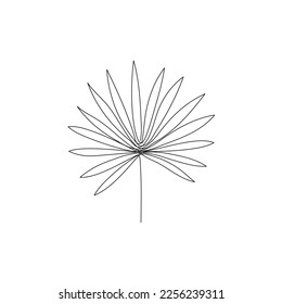 Line palm leaf art. One continuous line art decorative banana palm leaf draw. Editable stroke single tropical leaf element. Isolated vector illustration