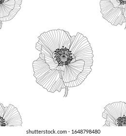 line pattern with poppies. Monochrome floral background wallpaper.