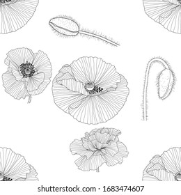 line pattern with poppies. Monochrome floral background wallpaper.