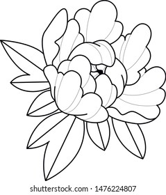 line peony flower dot work 