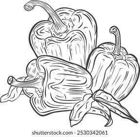Pimienta de línea, dibujo de línea, arte de línea