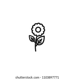 line plant icon. symbol of ecology