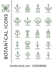 Line plant icons set with trees and peats