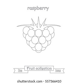 Line raspberry icon, fruit icon collection stock vector illustration
