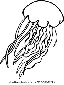 Line sea jellyfish symbol vector hand drawn