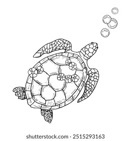 Linha mar tartaruga nadando entre bolhas de ar preto e branco vetor ilustração. Animal marinho monocromático com casca oval. Natureza submarina oceânica para projetos náuticos