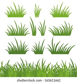 Line seamless and set of fresh green grass, element for design, isolated on white background. Vector