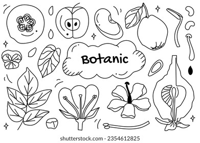 Line set Botanic in cartoon design. The world of botanic art with a black and white illustration set, showcasing delicate lines that highlight intricate floral details. Vector illustration.