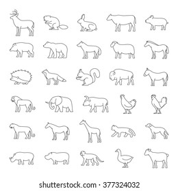 Line set of domestic and wild animals on white background. Dog, cat, cow, pig, bear, elephant.