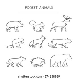 Line set of forest animals isolated on white. Vector icons boar, squirrels, deer, beaver, fox, puma, wolf, hedgehog and bear.