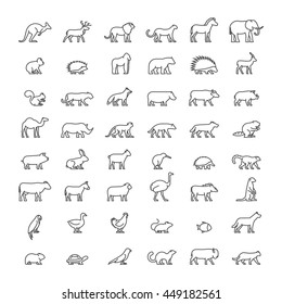 Line Set Of Silhouettes Of Australian, African, American And Other Animals. Vector Icon Monkey, Beaver, Pig, Kiwi, Lemur, Cow, Chicken And Others. Open Path.