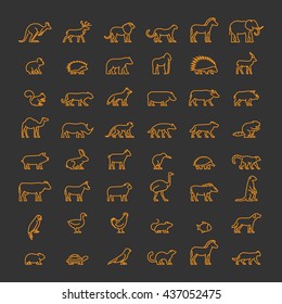 Line set of silhouettes of domestic, farm and wild animals. Linear icon kangaroos, meerkat, warthog, chicken, bear, leopard, kiwi, lemur and others. Open path.