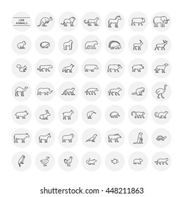 Line set silhouettes of domestic, farm, forest and wild animals. Linear icon chicken, cow, hedgehog, cat, dog and others. Open path.