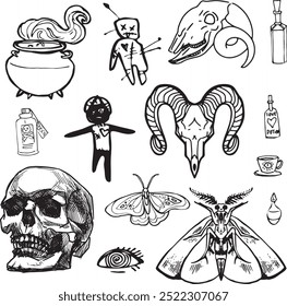 Linha Set Witch item Halloween Clip art crânio humano contorno traça borboleta contorno caldeirão garrafa vela Voodoo Vassoura Mágica Mão desenho elemento ilustração Oculto Símbolo gráfico animal crânio