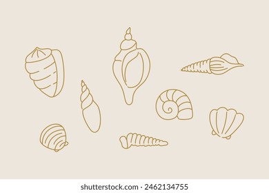 Line shell set. Outline marine icons, emblem logo or badge design. Minimal style illustration. Sea ocean summer vacation, beach clam and mollusk. Vector isolated decorative minimalistic illustration