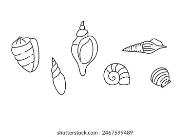 Line shell set. Outline marine icons, emblem logo or badge design. Minimal style illustration. Sea ocean summer vacation. Beach clam and mollusk. Vector isolated decorative minimalistic illustration