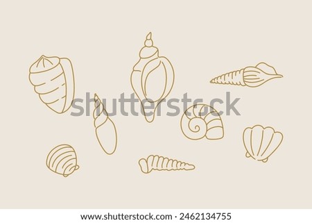 Line shell set. Outline marine icons, emblem logo or badge design. Minimal style illustration. Sea ocean summer vacation, beach clam and mollusk. Vector isolated decorative minimalistic illustration