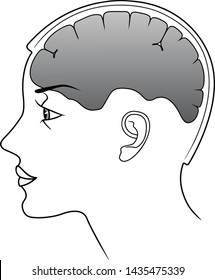 Line silhouette woman head with brain organ. Vector  illustation isolated on white background