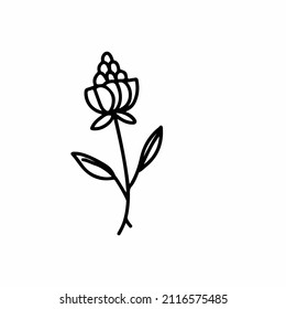 line simple floral illustration design. 