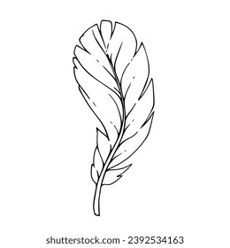 Line sketch of a bird feather. Vector graphics.