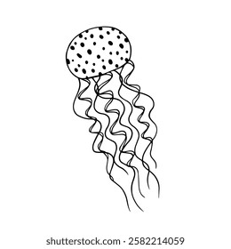 Line sketch, coloring aquatic animals jellyfish. Vector graphics.