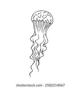 Line sketch, coloring aquatic animals jellyfish. Vector graphics.