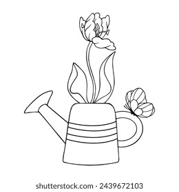 Line sketch, coloring of a spring tulip flower in a vintage garden watering can.Vector graphics.
