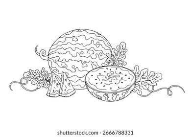 Line sketch, coloring summer compositions of seasonal berries and watermelon pieces. Vector graphics.