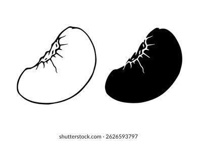 Line sketch, contour, silhouette of peach fruit. Vector graphics.