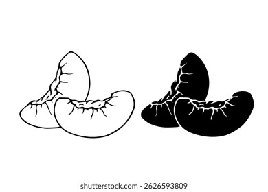 Line sketch, contour, silhouette of peach fruit. Vector graphics.
