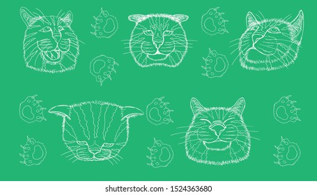 line sketch of different element cat head funny and cute emotion and footprint. vector illustration eps10