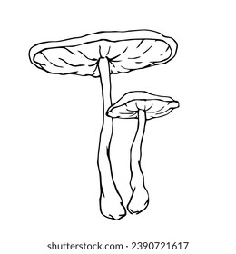 Line sketch, doodles of forest mushroom, toadstool, fly agaric. Vector graphics.