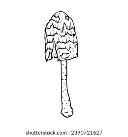 Line sketch, doodles of forest mushroom, toadstool, fly agaric. Vector graphics.