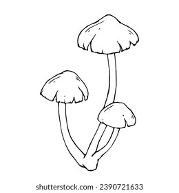 Line sketch, doodles of forest mushroom, toadstool, fly agaric. Vector graphics.