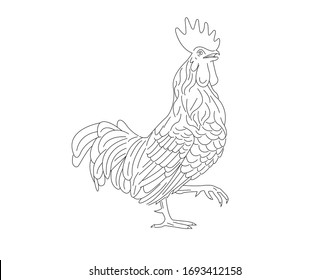 Line sketch drawing illustration of rooster. Cock bird mascot concept icon, farming symbol.