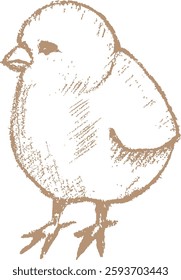 Line Sketch Easter Chick Vector Illustration