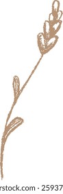 Line Sketch Easter Flower Vector Illustration