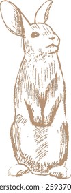 Line Sketch Easter Rabbit Vector Illustration