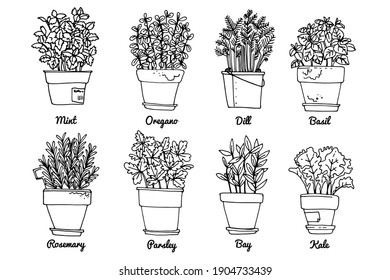 Sketch Of Flowers Pot - All About Logan