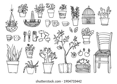 Line sketch of flowers in pots, home decor. Drawing vector black. Chair, furniture, cacti, baskets 